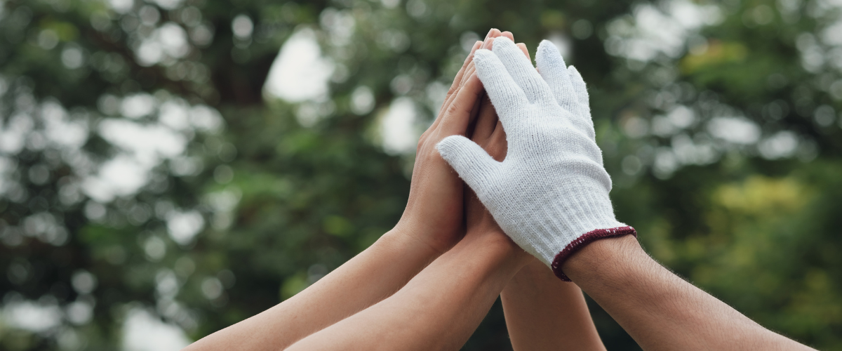 World Environment Day